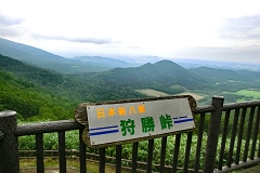 돟